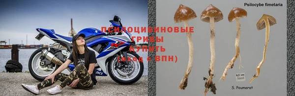 шишки Нефтегорск