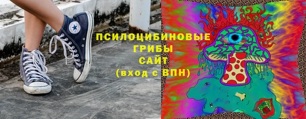 дмт Надым
