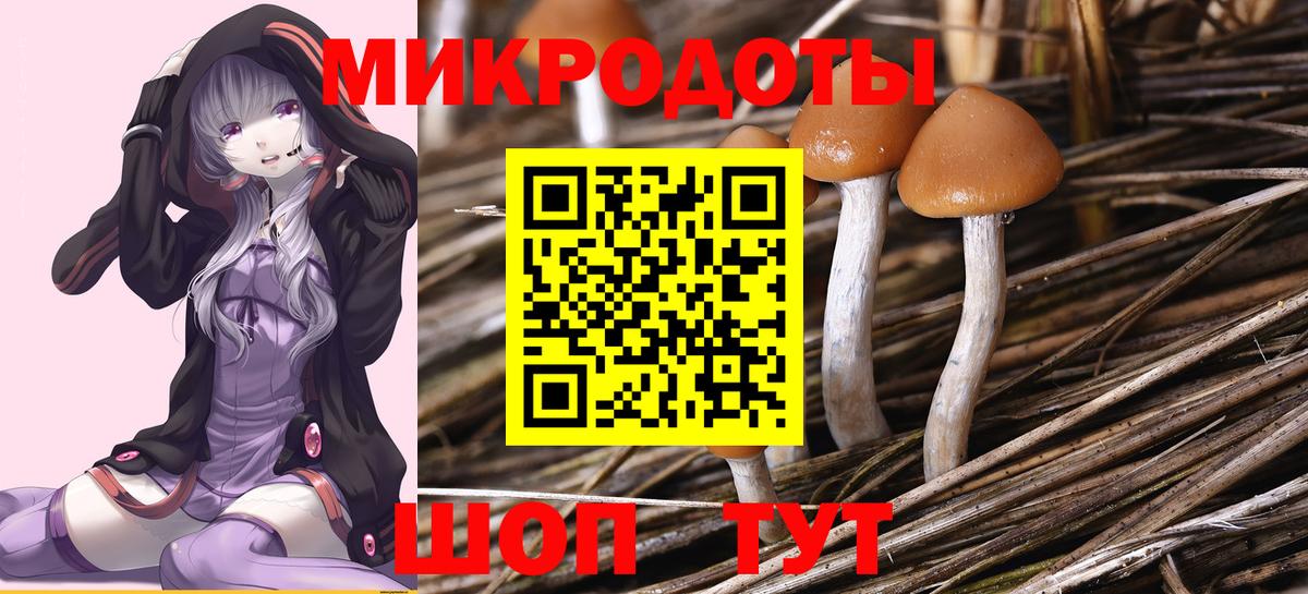 Галлюциногенные грибы мухоморы Ялта