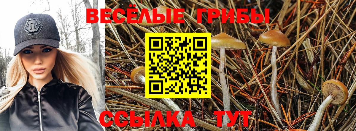 Галлюциногенные грибы мицелий  Вход с VPN  Ялта  где купить наркотик  Псилоцибиновые грибы Cubensis 